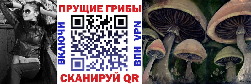 хочу наркоту  Светлый  Псилоцибиновые грибы Psilocybine cubensis 